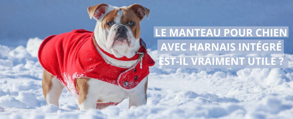 manteau-pour-chien-avec-harnais-intégré