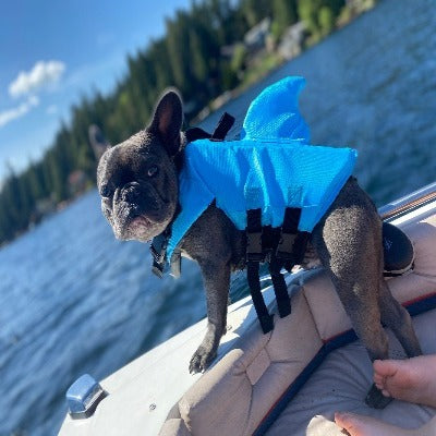 Gilet de sauvetage pour chien - AquaPooch™