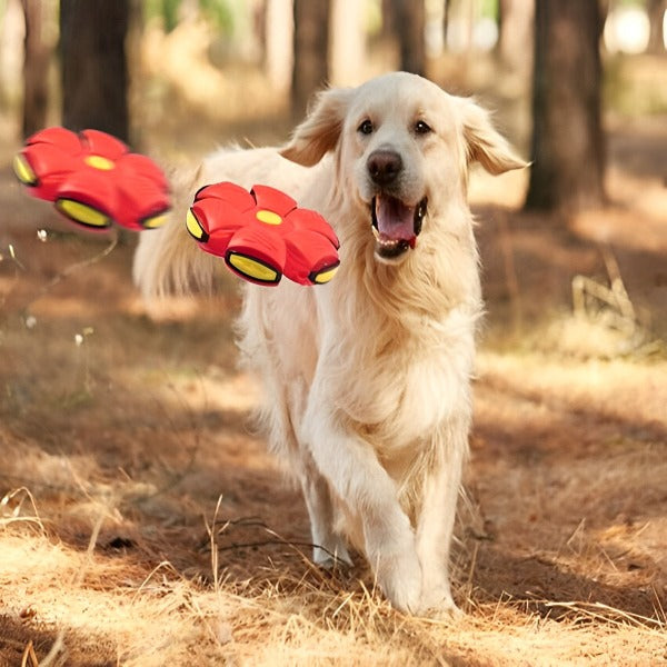 JOUET POUR CHIEN | FRIPBALLE™