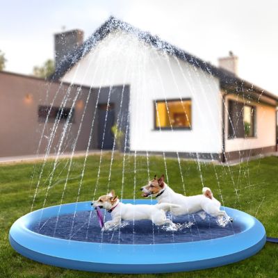 PISCINE POUR CHIEN | WaterDog™