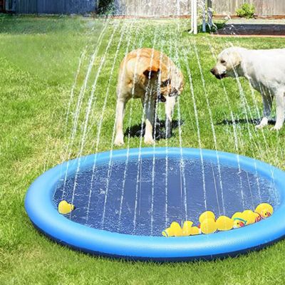 piscine-pour-chien