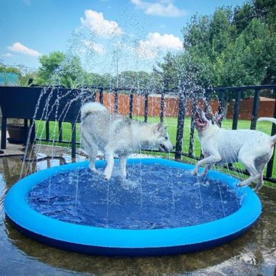 PISCINE POUR CHIEN | WaterDog™