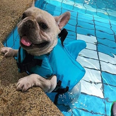 Gilet de sauvetage pour chien - AquaPooch™