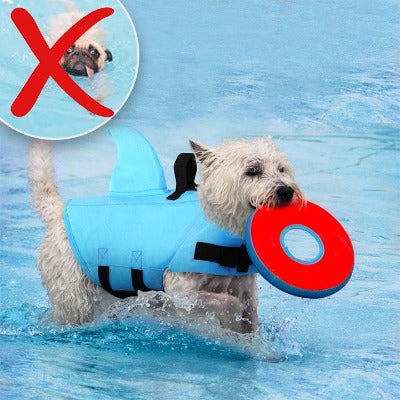 Gilet de sauvetage pour chien - AquaPooch™