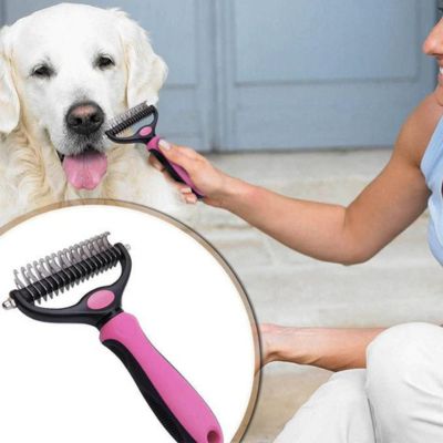 brosse-pour-chien