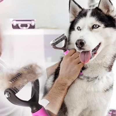 brosse-pour-chien-douce