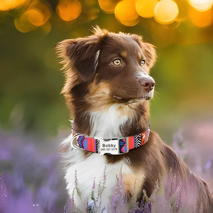 collier-chien-personnalisé-rose