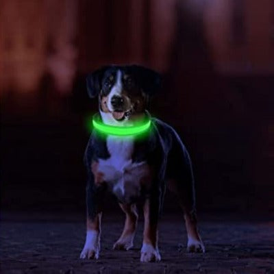 collier-lumineux-chien-vert