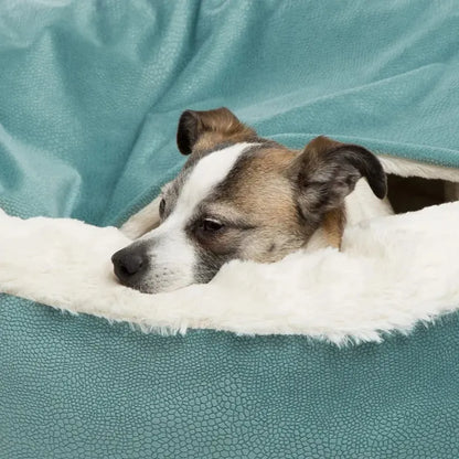 coussin-apaisant-chien-moelleux