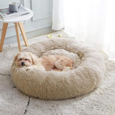 coussin-pour-chien