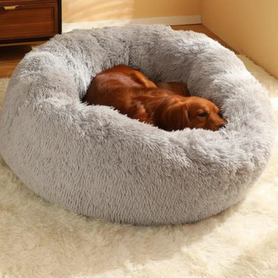 coussin-pour-chien