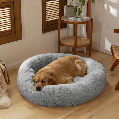 coussin-pour-chien-xxl