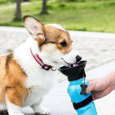 GOURDE POUR CHIEN | WATER™