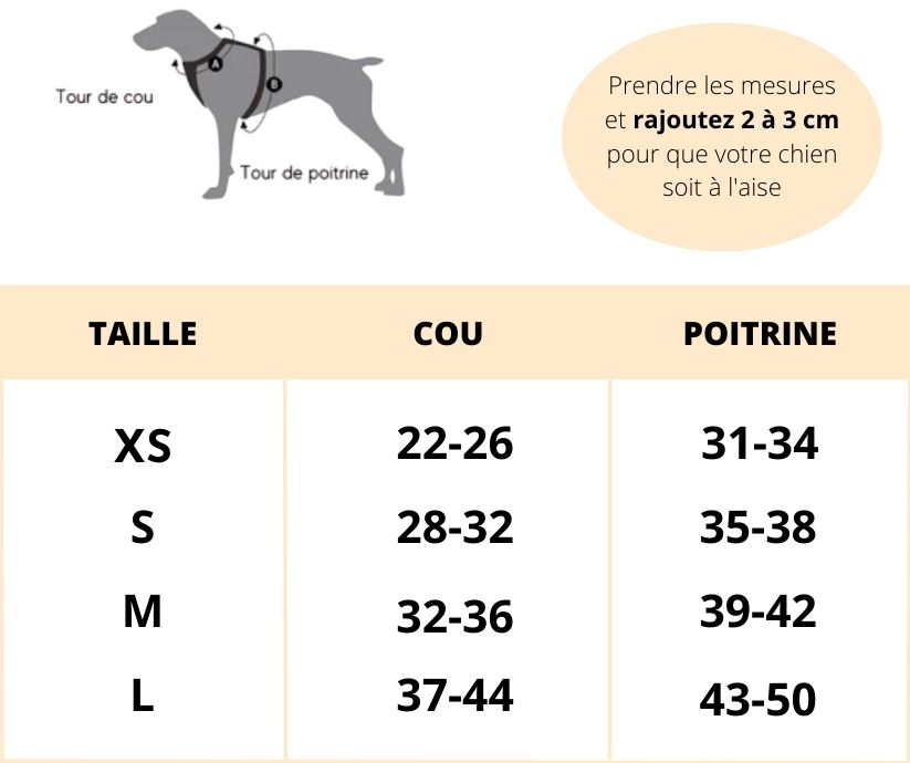 HARNAIS PETIT CHIEN｜HarnessPuppy™