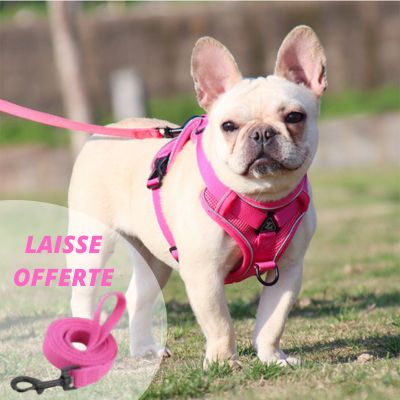 HARNAIS PETIT CHIEN｜SmallHarness™