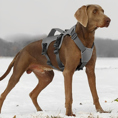 harnais-pour-chien-gris