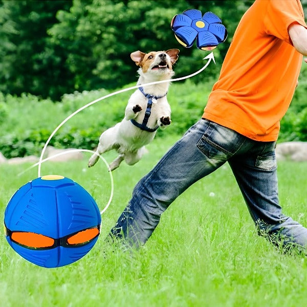 JOUET POUR CHIEN | FRIPBALLE™