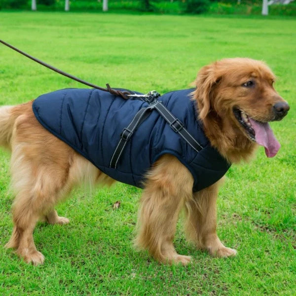 manteau-pour-chien-avec-harnais-intégré-bleu