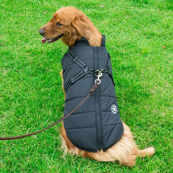 manteau-pour-chien-avec-harnais-intégré-noir