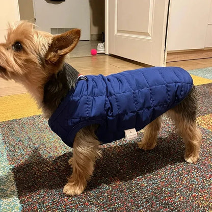 manteau-pour-petit-chien-impermeable