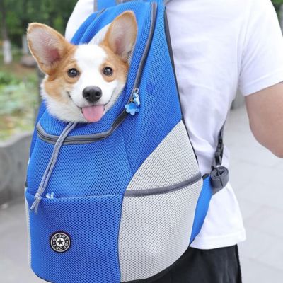 sac-de-transport-pour-chien-confortable