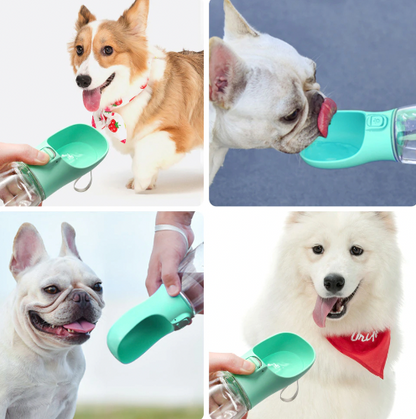 GOURDE POUR CHIEN  | Clean Water™