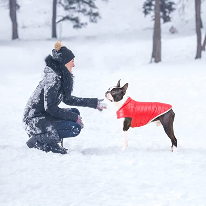 MANTEAU POUR CHIEN | WINTER JACKET™