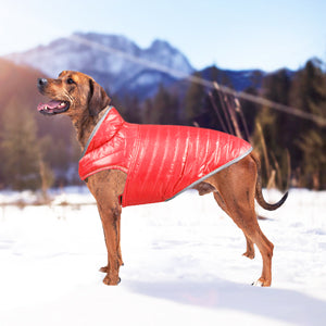 MANTEAU POUR CHIEN | WINTER JACKET™