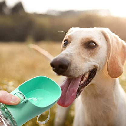 GOURDE POUR CHIEN  | Clean Water™